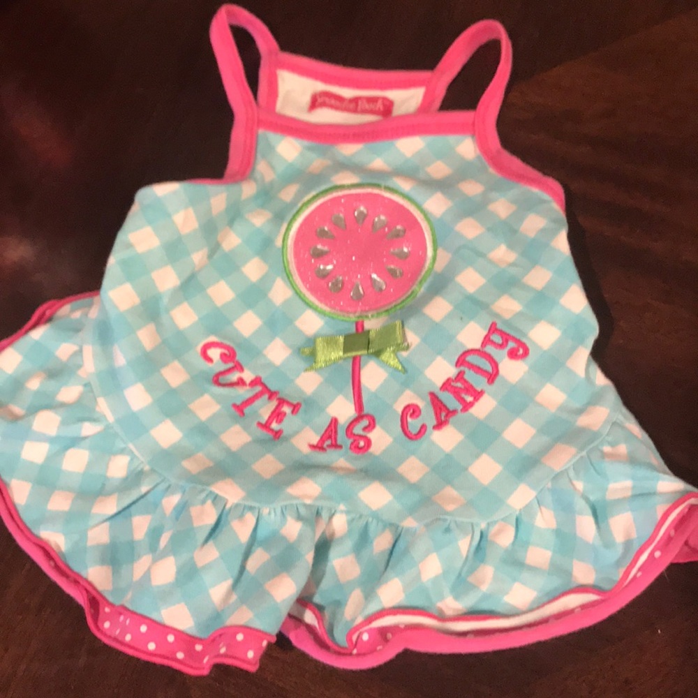 🐶🎀 Dog Apparel